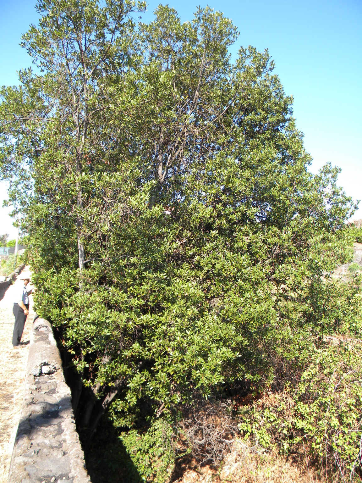 DSCN8181 .JPG